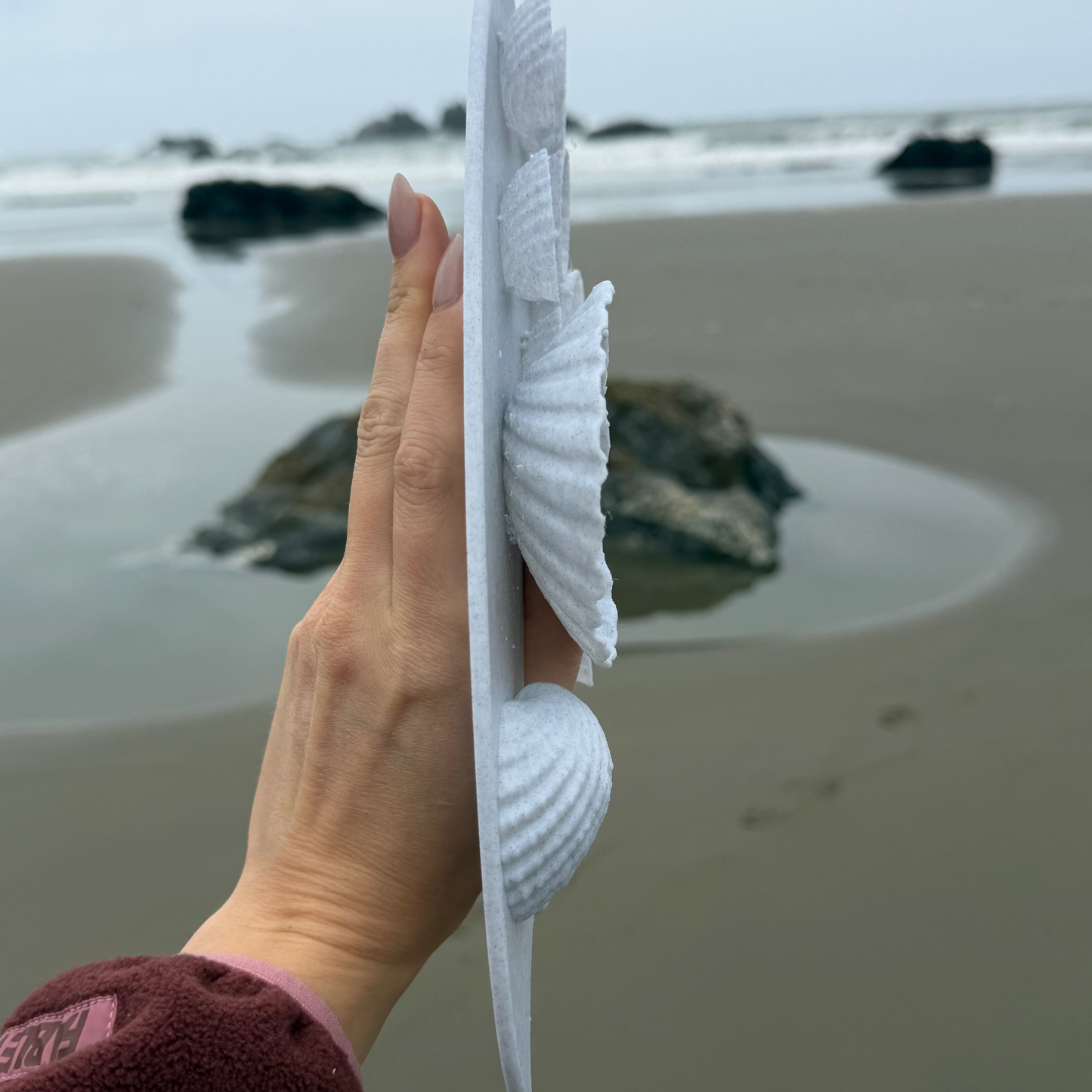 🐚🎨3D Printed Sea Shell Painting Palette