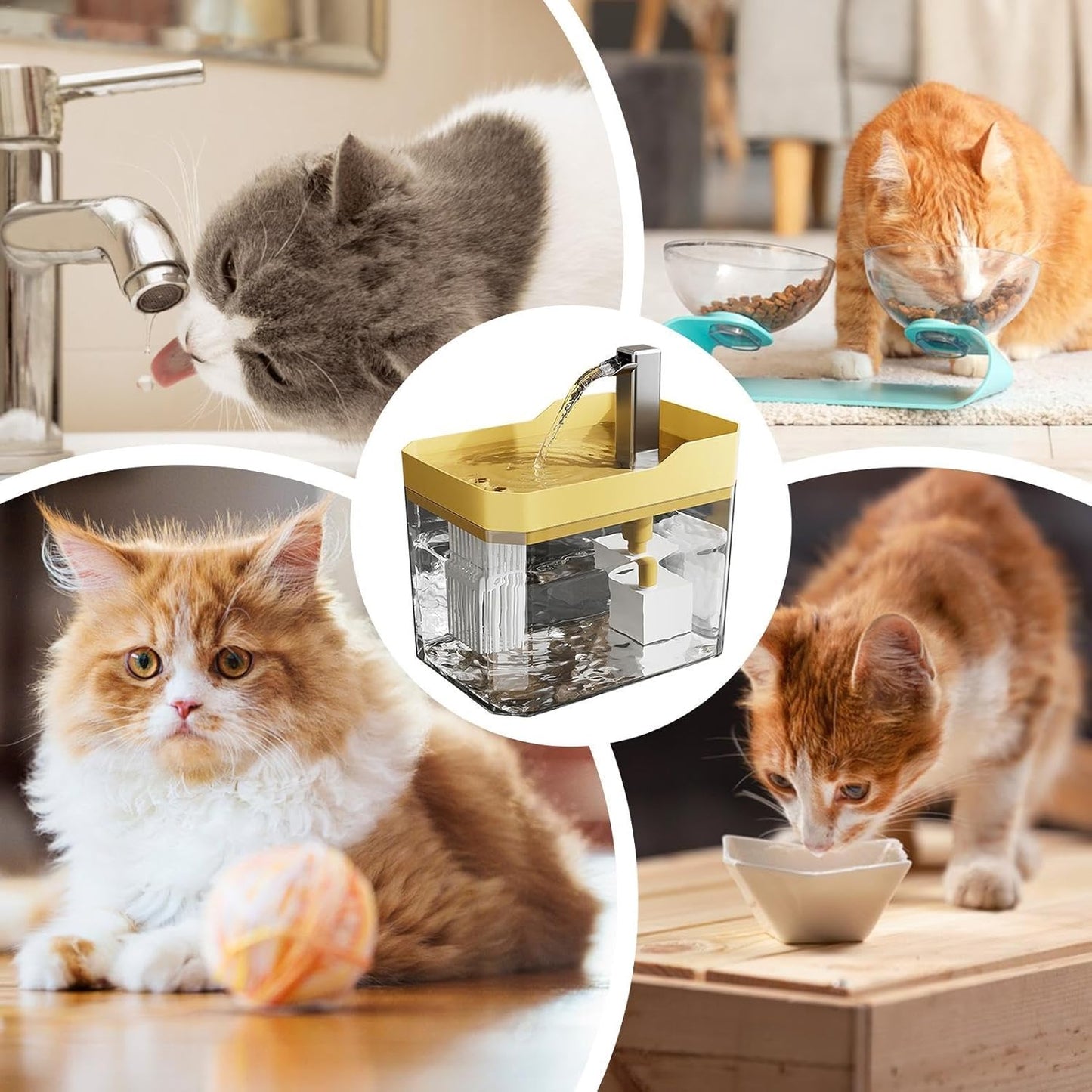 🔥Last Day 49% Off💧Automatic Pet Water Fountain🐶😻