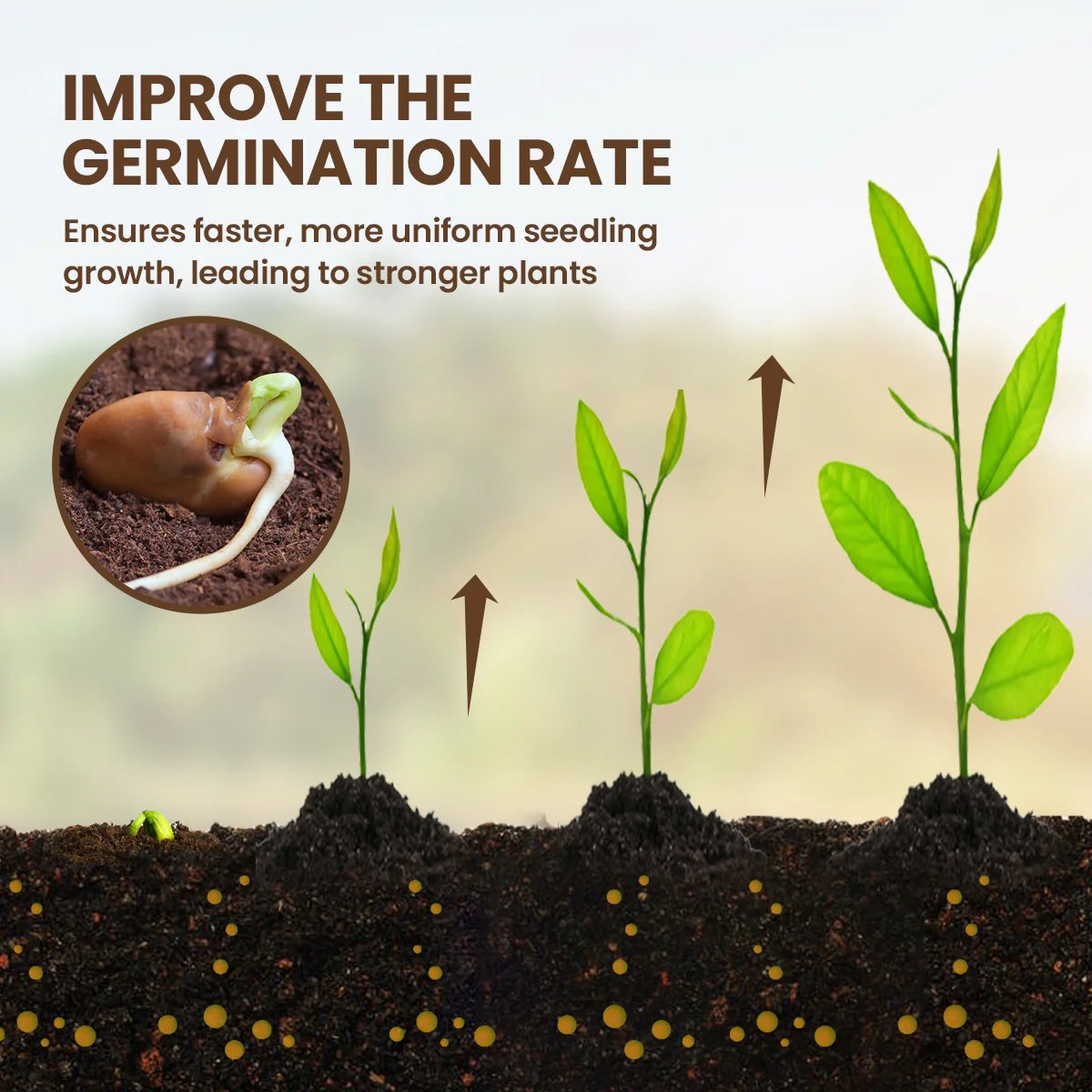 🔥Seasonal promotion-Soil Pro Activator🔥