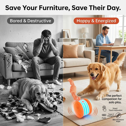 🐾Pet Bounce Ball – Interactive Fun Toy for Dogs & Cats 🐶