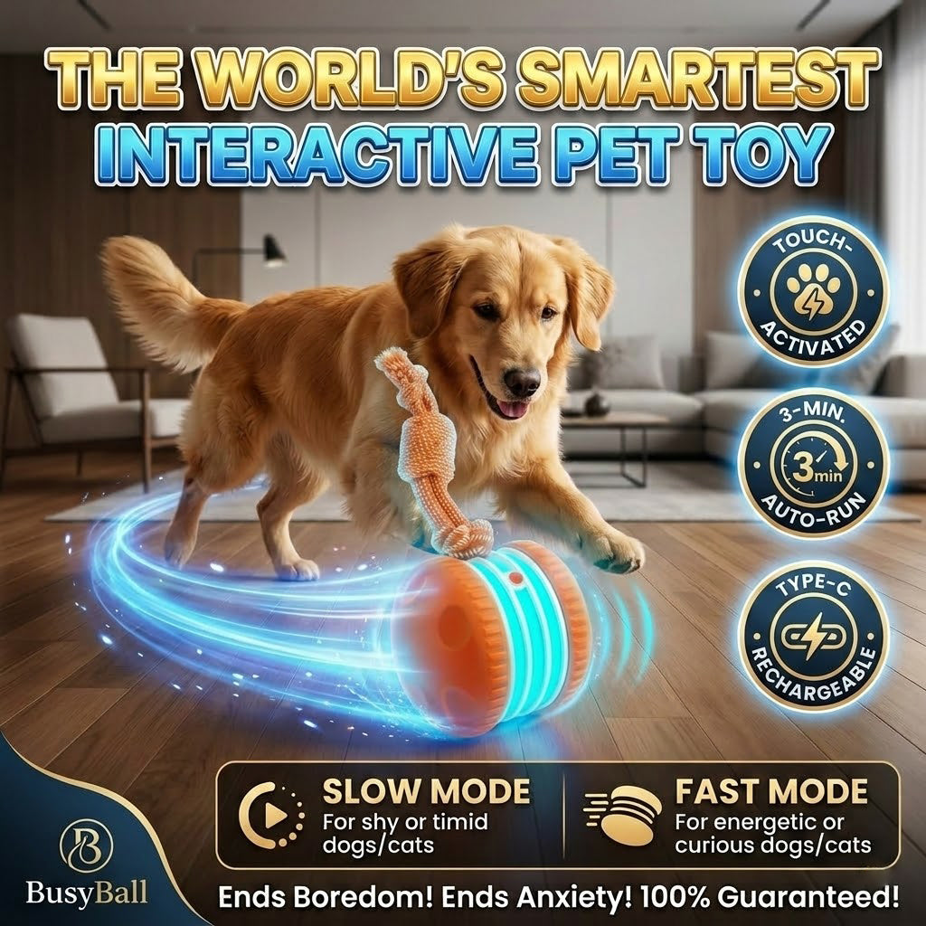 🐾Pet Bounce Ball – Interactive Fun Toy for Dogs & Cats 🐶
