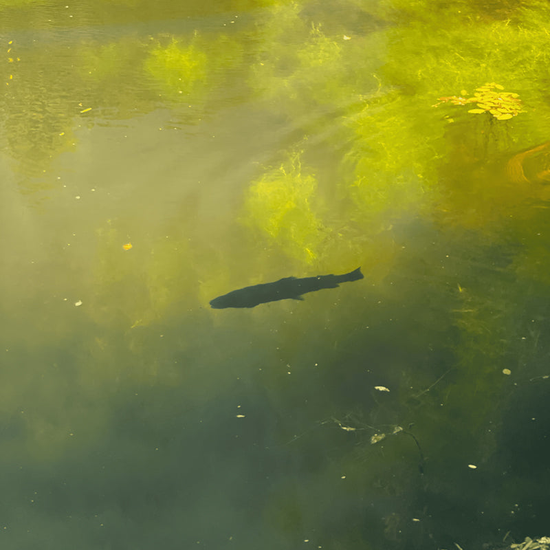 HydroView Fishing Optics - Fishing Glasses