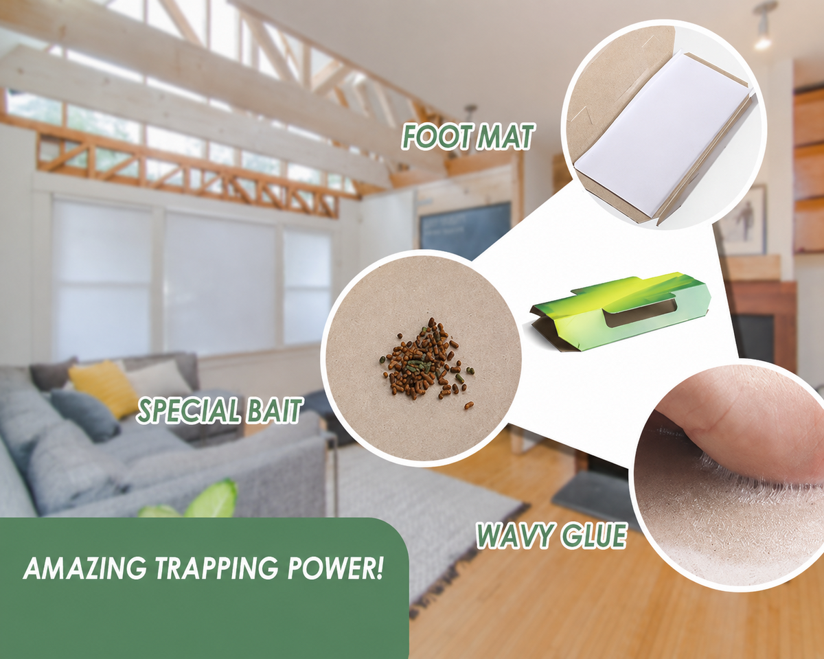 🪳 10PCS Cockroach Glue Trap with Bait – Foldable Indoor Roach Catcher
