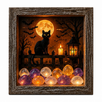 Black Cat Moonlit Night