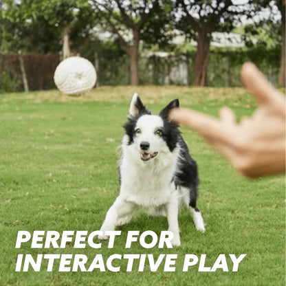 The Last Dog Toy You'll Ever Buy 🐾 — Bouncy, Squeaky & Built to Last