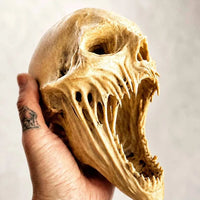 Bone