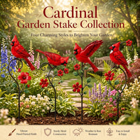 Set of 4 - SAVE $20 & FREE SHIPPING