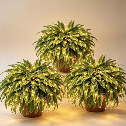 💛Glowing Boston Ferns with Lights – 🌿 Zero Watering, Zero Maintenance
