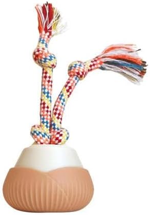 🐱Fun Automatic Toy for Cats & Small Dogs Rotating Rope, Safe & Rechargeable