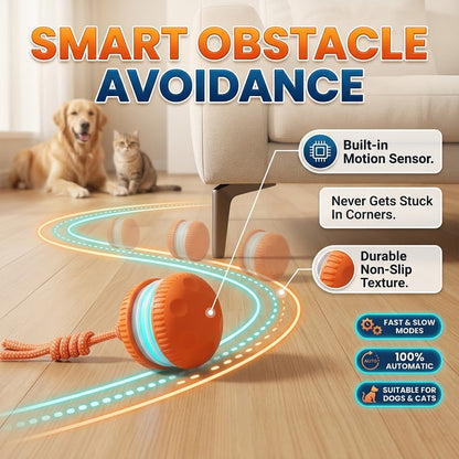 🐾Pet Bounce Ball – Interactive Fun Toy for Dogs & Cats 🐶