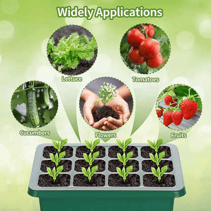 🔥 Last Day 50% OFF-Adjustable Humidity Seed Starter Trays