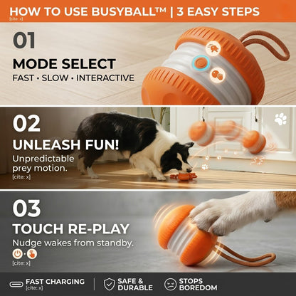 🐾Pet Bounce Ball – Interactive Fun Toy for Dogs & Cats 🐶