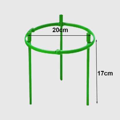 Removable plant stand support stakes for plants and flowers and fruits