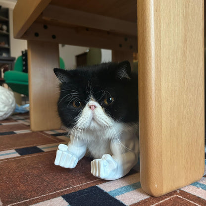 🐱💪3D Printed Cat Muscle Arm