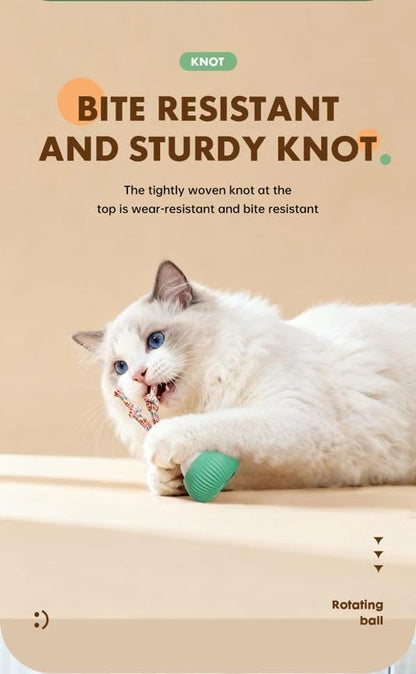 🐱Fun Automatic Toy for Cats & Small Dogs Rotating Rope, Safe & Rechargeable