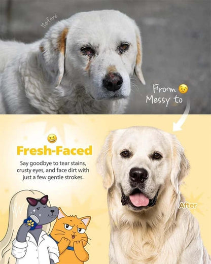 ✨2026 Spring special offer 49% off💥🐾Easy Facial Comb | No More Tear Stains or Eye Gunk