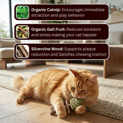 🔥Day Sale 50% OFF🐾-Catnip & Silvervine Chew