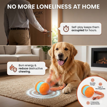 🐾Pet Bounce Ball – Interactive Fun Toy for Dogs & Cats 🐶