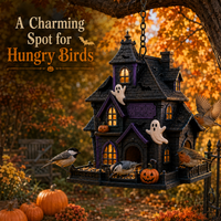 🏚️  Haunted House