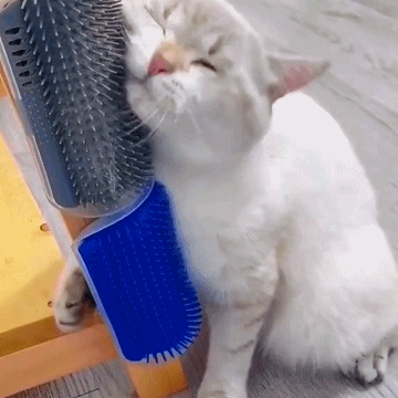🔥Last Day 49% OFF -🎉🔥Corner Massage Cat Brush