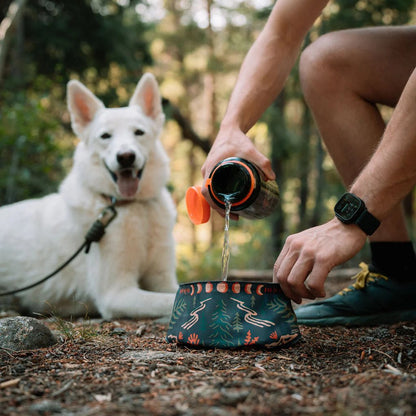 🐶2-in-1 Reversible Dog Bandana Bowl