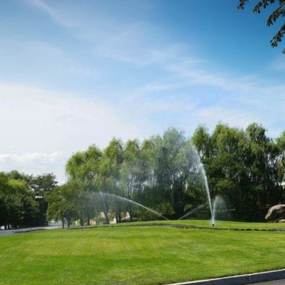 🎉Up to 50% off-Low-Maintenance, Drought and Cold-Resistant, Low-Growing Lawn Seeds