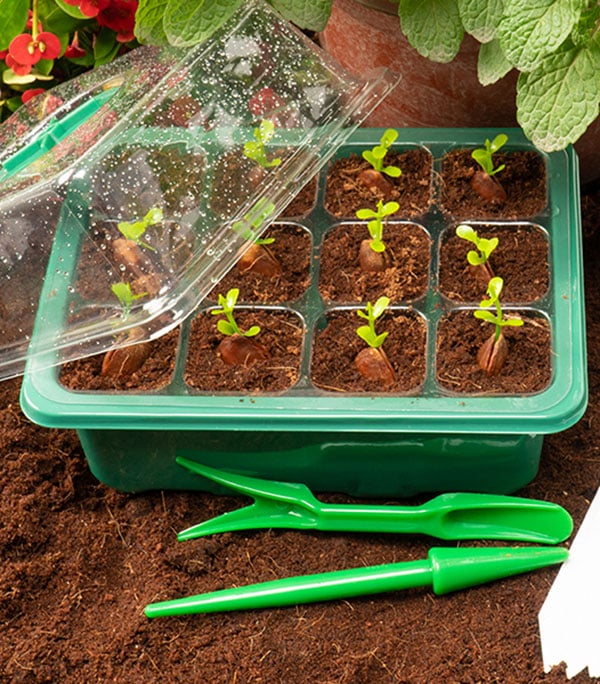 🔥 Last Day 50% OFF-Adjustable Humidity Seed Starter Trays