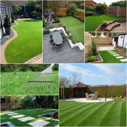 🎉Up to 50% off-Low-Maintenance, Drought and Cold-Resistant, Low-Growing Lawn Seeds