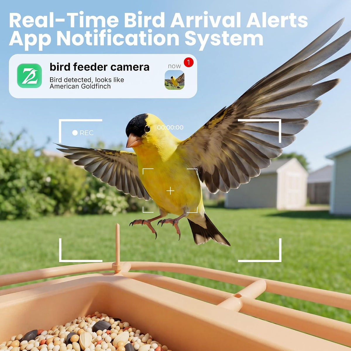 Real time smart bird arrival alerts