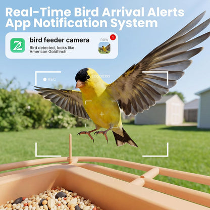 🐦 66% OFF — Smart Bird Feeder with 1080P Camera Solar Powered, AI Identify Bird Species
