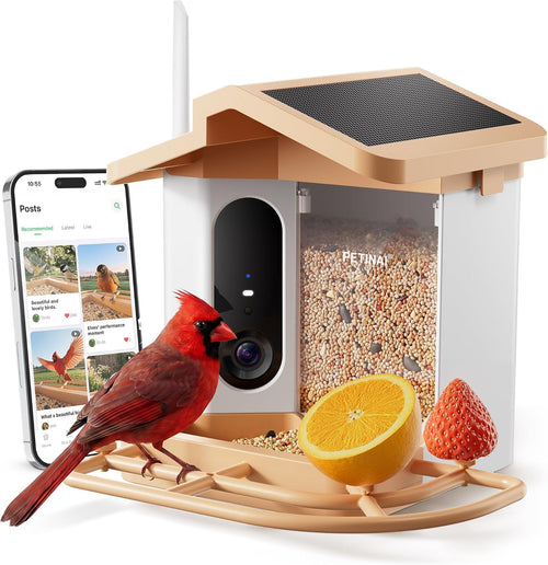 🐦 66% OFF — Smart Bird Feeder with 1080P Camera Solar Powered, AI Identify Bird Species