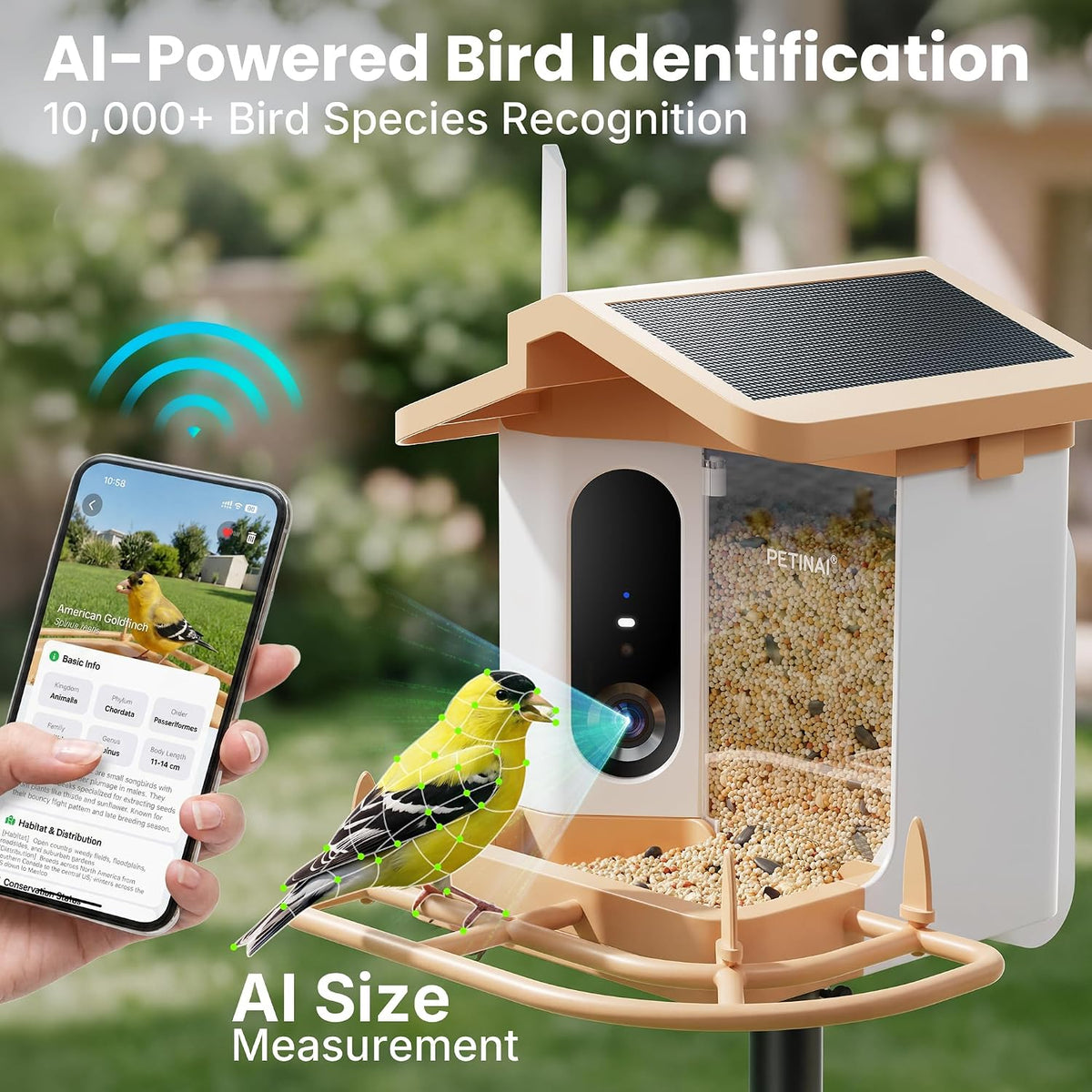 AI powered bird identification