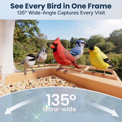 🐦 66% OFF — Smart Bird Feeder with 1080P Camera Solar Powered, AI Identify Bird Species
