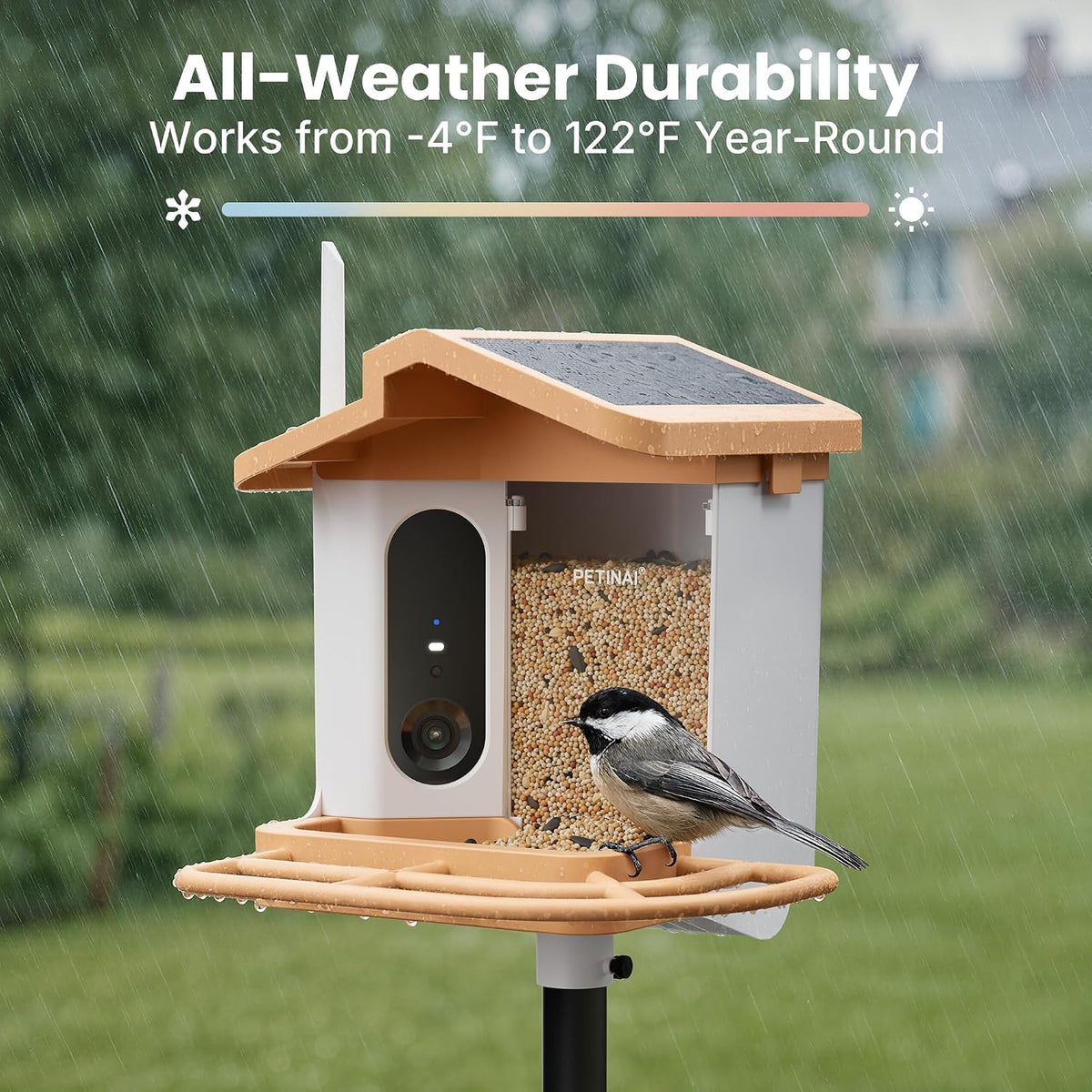 All weather smart bird feeder