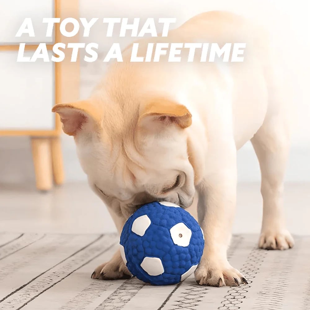 The Last Dog Toy You'll Ever Buy 🐾 — Bouncy, Squeaky & Built to Last