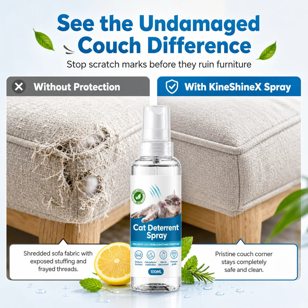 🐱 50% Off! 🎁cat Scratch Deterrent Spray