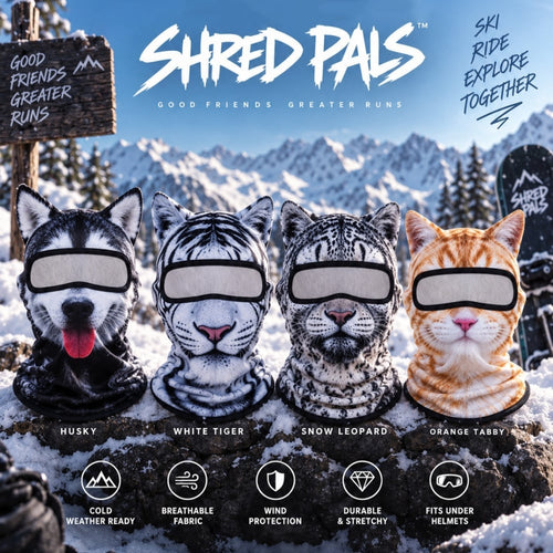 🔥🐱3D Cat Ski Balaclava Face Mask with Ears Animal Mask