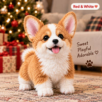 🧡 Corgi – Golden Tan & White