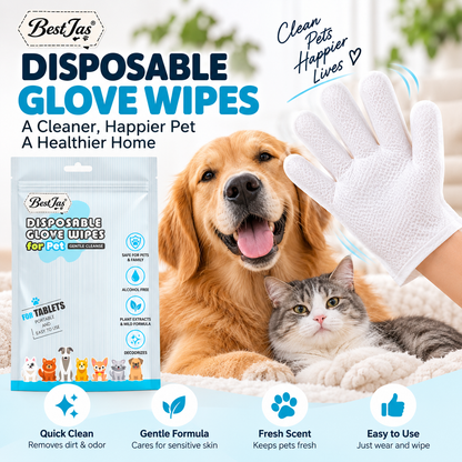 🐶 Wipe Away Pet Messes in Seconds! 🧤