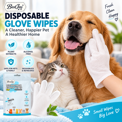 🐶 Wipe Away Pet Messes in Seconds! 🧤