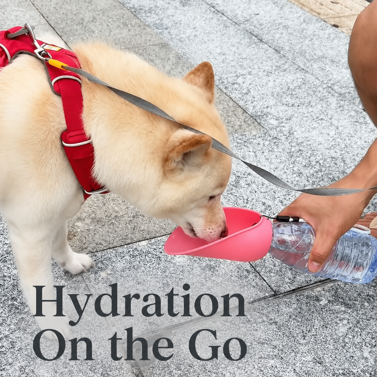 🔥Last Day 50% OFF🔥Portable Dog Water Bottle – Hydration Anywhere