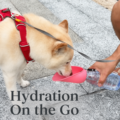 🔥Last Day 50% OFF🔥Portable Dog Water Bottle – Hydration Anywhere