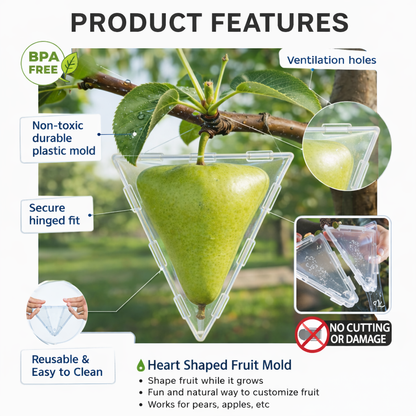 🔥Last Day 50% OFF 🍐 Growing Unique Fruit Shaping Mold