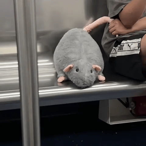 💛Chonky Rat Plushie – Soft & Huggable | 50% OFF Today