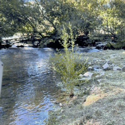 Mytrendyes Underwater Camera