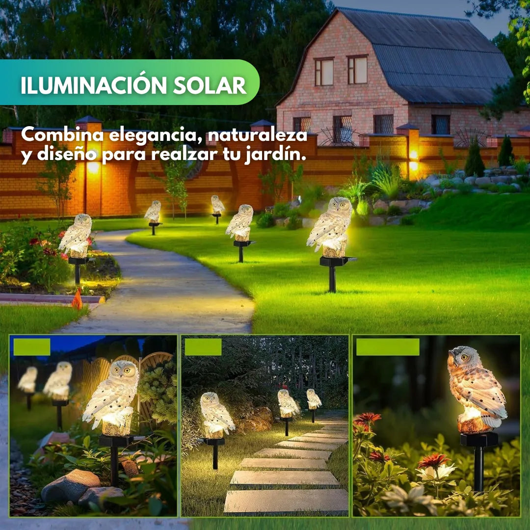 Owl-shaped decorative lamp (2 units)