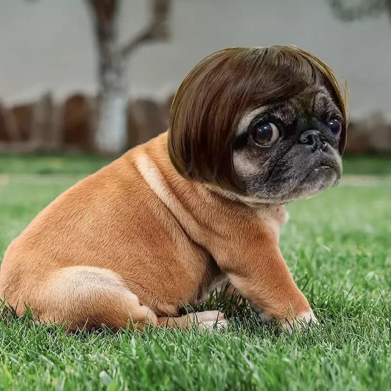 🔥Last Day 49% OFF🐶 Funny Pet Wig Headband for Dogs & Cats