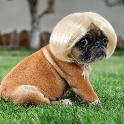 🔥Last Day 49% OFF🐶 Funny Pet Wig Headband for Dogs & Cats