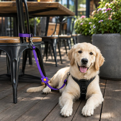 💖BUY 1 GET 1 FREE 🎁2-in-1 Dog Car Seat Belt & Walking Leash