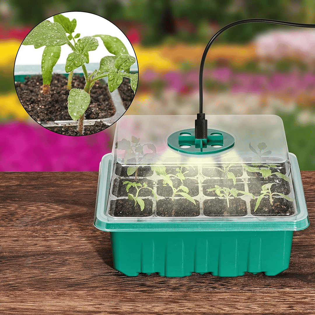 🔥 Last Day 50% OFF-Adjustable Humidity Seed Starter Trays